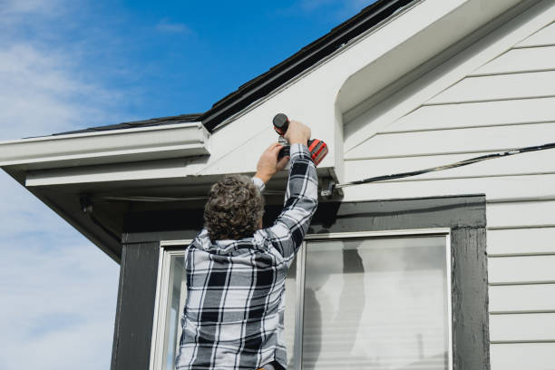 Best Historical Building Siding Restoration  in Cairo, IL